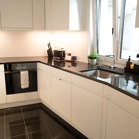 Sage - 78 Qm, 2 Schlafzimmer & Zugang Zur Dachterrasse Nahe Eth Apartman *